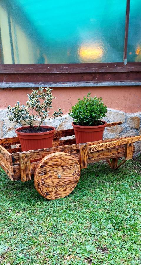 Capranica Bed And Breakfast Monticelli المظهر الخارجي الصورة