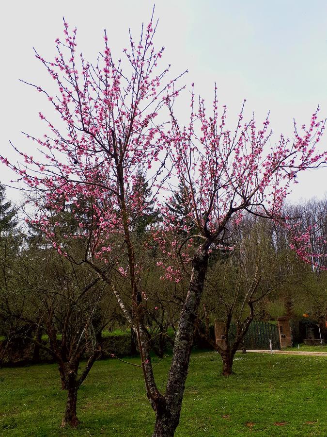Capranica Bed And Breakfast Monticelli المظهر الخارجي الصورة